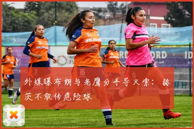 外媒曝布朗与老鹰分手导火索：赫茨不敢传危险球
